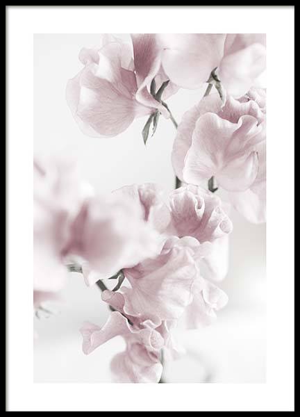 Summer Dream No1 Plakát ve skupině Plakáty / Fotografické umění na Desenio AB (10405)