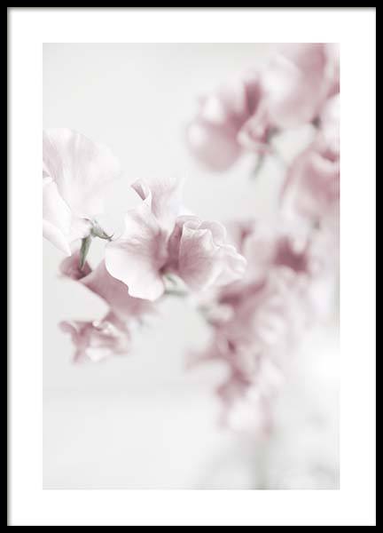 Summer Dream No2 Plakát ve skupině Plakáty / Fotografické umění na Desenio AB (10406)