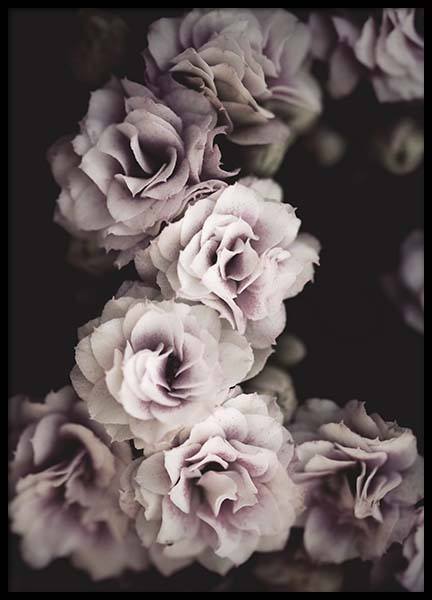 Bouquet De Fleurs Plakát ve skupině Plakáty / Fotografické umění na Desenio AB (10433)