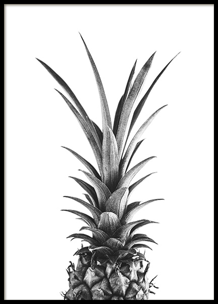 Pineapple B&W Plakát ve skupině Plakáty / Černobílé na Desenio AB (10658)