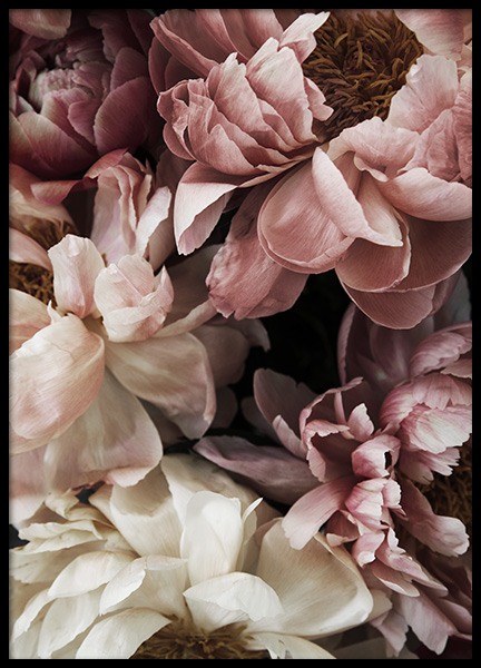 Flower Wall Plakát ve skupině Plakáty / Fotografické umění na Desenio AB (10990)