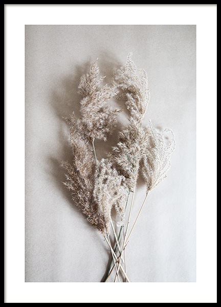 Bouquet of Autumn Reeds Plakát ve skupině Plakáty / Fotografické umění na Desenio AB (11798)