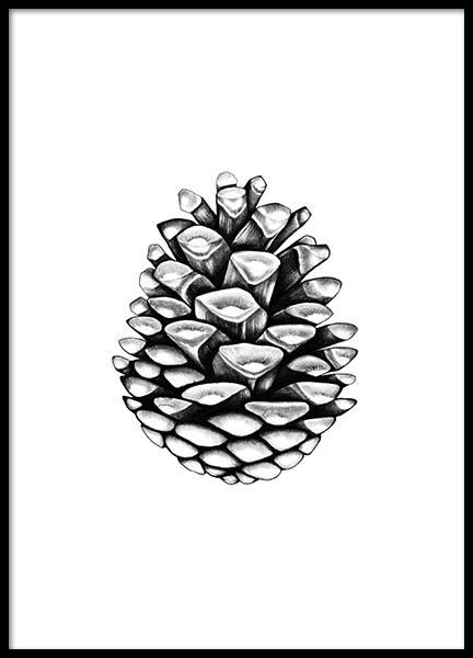 Pinecone Plakát ve skupině Plakáty / Černobílé na Desenio AB (2274)
