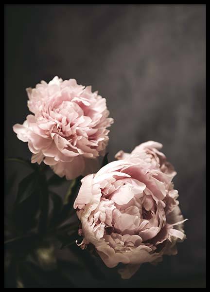 There's Beauty Plakát ve skupině Plakáty / Fotografické umění na Desenio AB (2788)