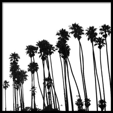 Venice Beach Palm Trees No1 Plakát ve skupině Plakáty / Černobílé na Desenio AB (3776)