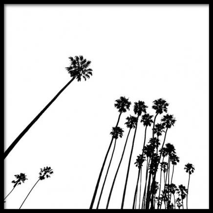 Venice Beach Palm Trees No2 Plakát ve skupině Plakáty / Černobílé na Desenio AB (3777)