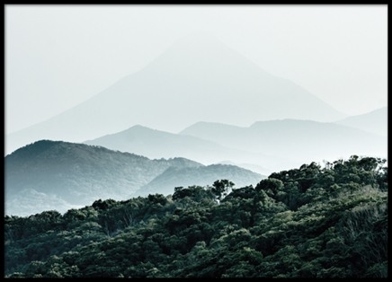 Forest Hills, Plakát ve skupině Plakáty / Přírodní motiv na Desenio AB (8307)