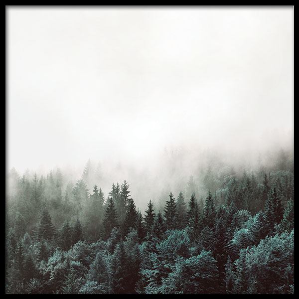 Tree Tops, Plakát ve skupině Plakáty / Přírodní motiv na Desenio AB (8587)