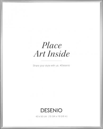 Kovový stříbrný rám, 40x50