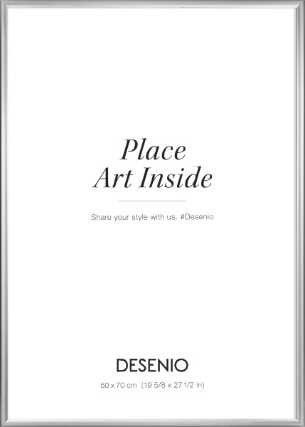 Kovový stříbrný rám, 50x70