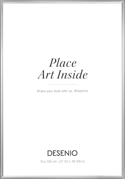 Kovový stříbrný rám, 70x100