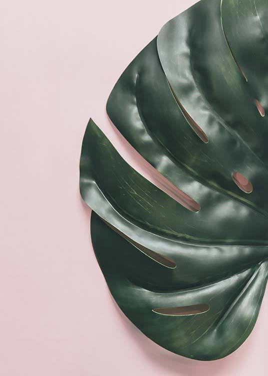 Leaf On Pink Plakát