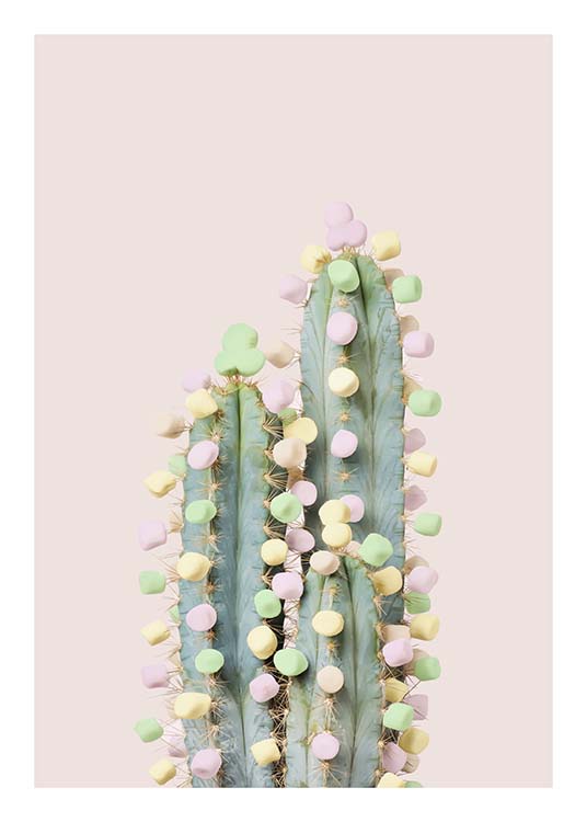 Candy Cactus Plakát / Dětské obrázky na Desenio AB (10340)