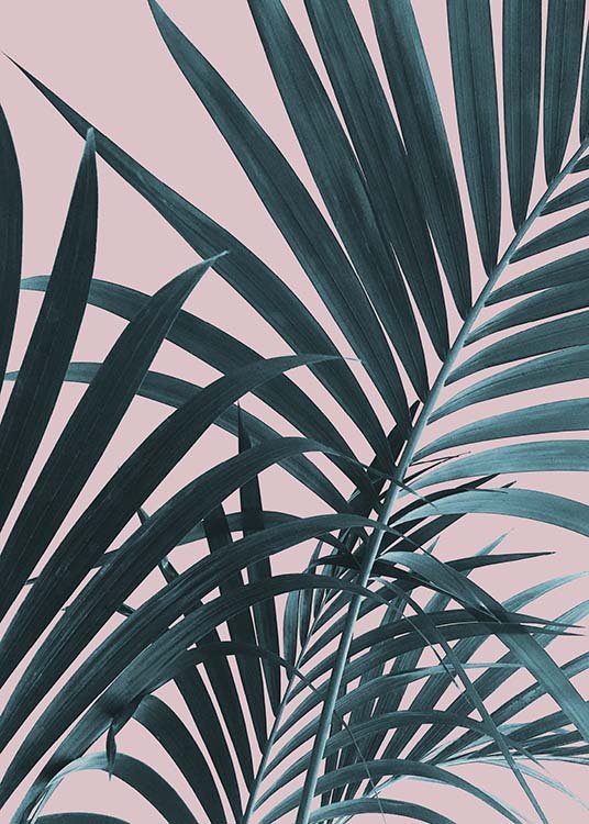 Pastel Palm No1 Plakát