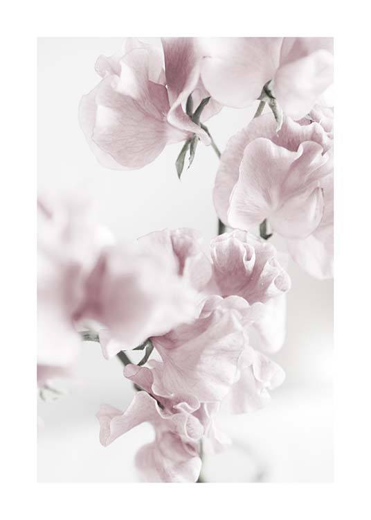 Summer Dream No1 Plakát