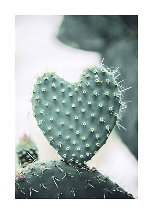 Heart Cactus Plakát