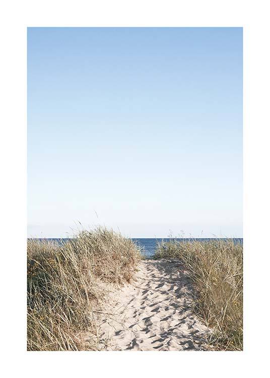Path on beach Plakát / Přírodní motiv na Desenio AB (10477)