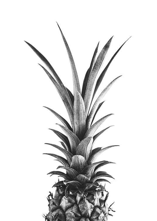 Pineapple B&W Plakát