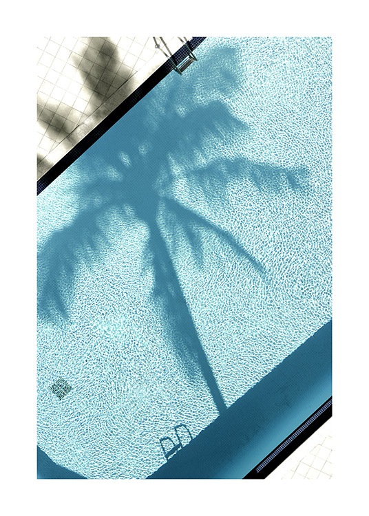 Pool and Palm Tree Plakát / Fotografické umění na Desenio AB (10668)