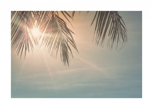 Sunset Palm Leaves Plakát / Nebe na Desenio AB (10882)
