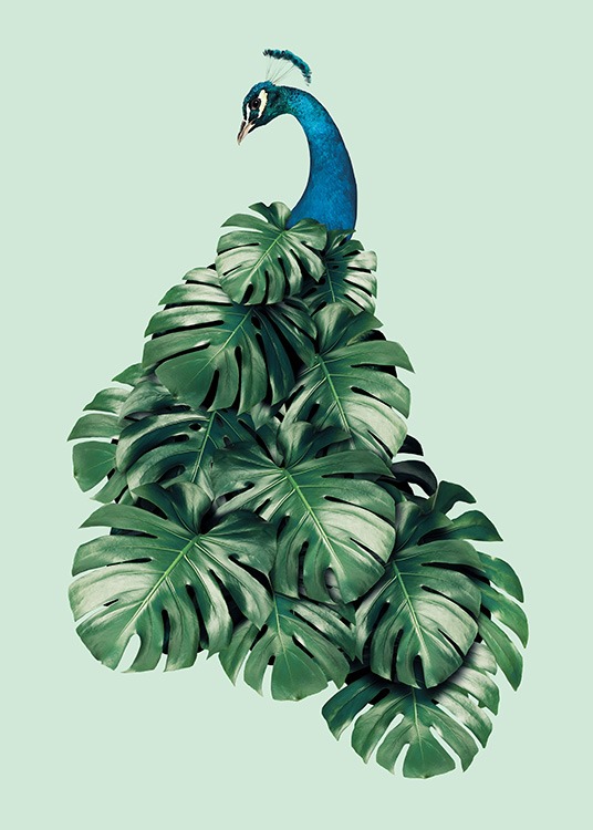 Monstera Bird Plakát