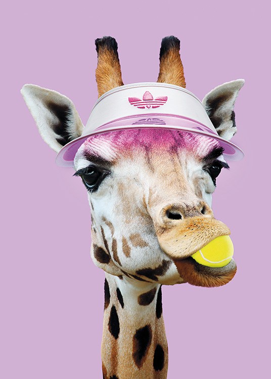 Tennis Giraffe Plakát