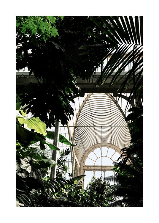 Kew Garden No2 Plakát / Fotografické umění na Desenio AB (11590)