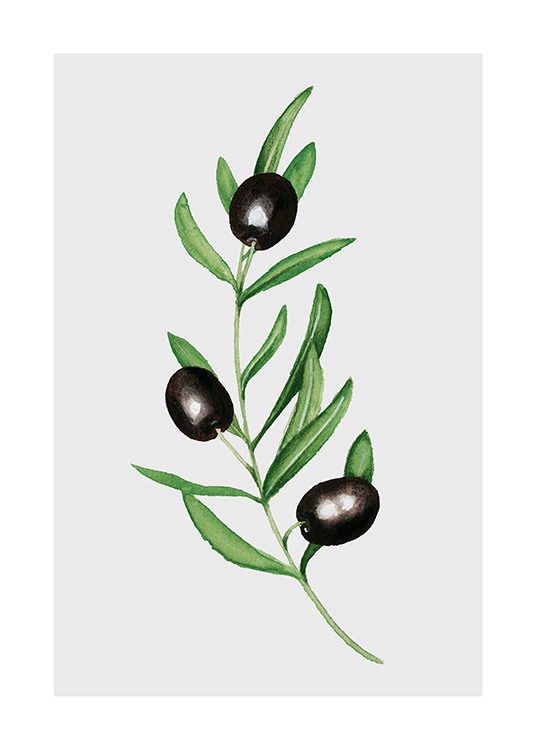 Olives Plakát / Obrazy do kuchyně na Desenio AB (11960)