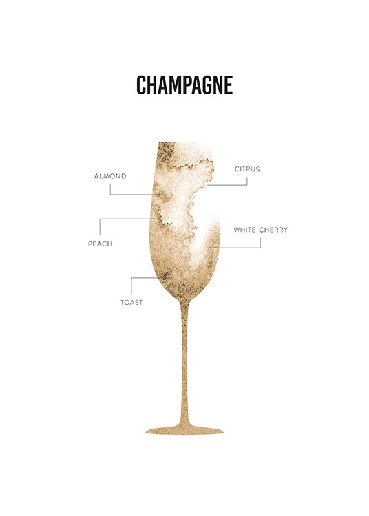 Champagne Anatomy Plakát