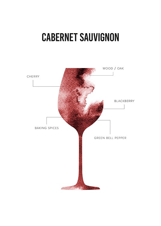 Cabernet Sauvignon Anatomy Plakát