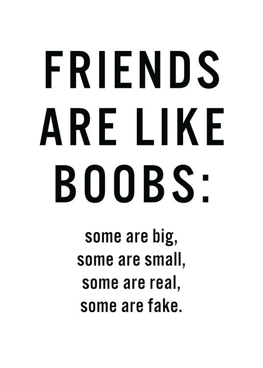 Friends Are Like Boobs Plakát