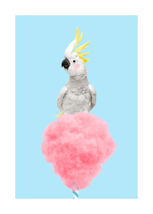 Cotton Candy Cockatoo Plakát