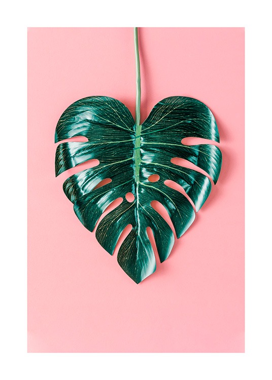 Heart-Shaped Monstera Plakát