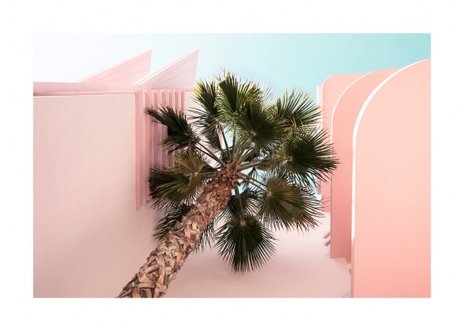 Palm from Beneath Plakát