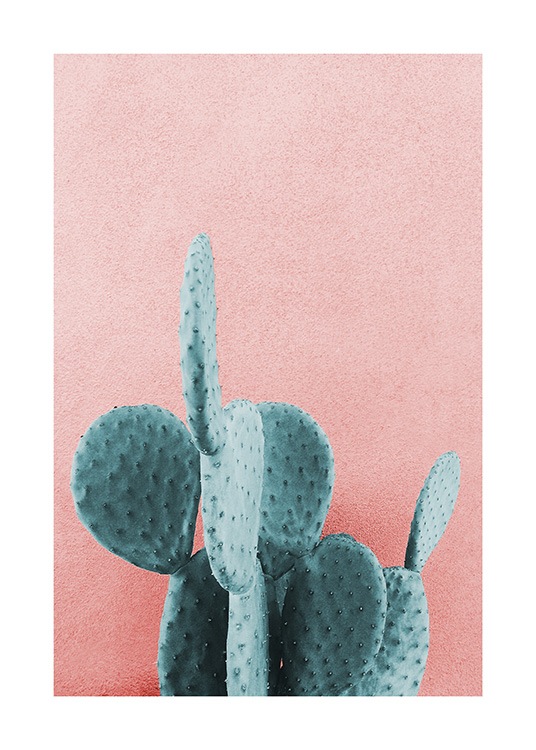 Mint Cactus Plakát / Fotografické umění na Desenio AB (12852)