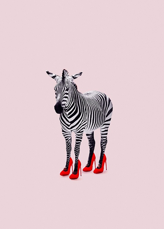 Zebra Heels Plakát