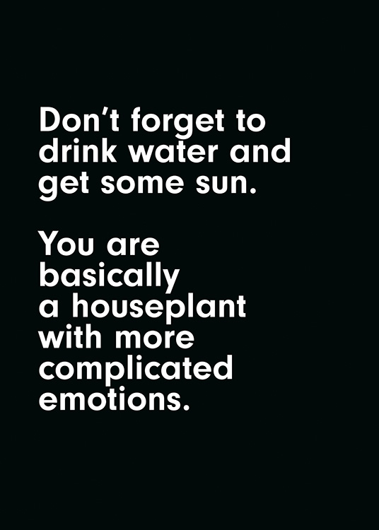 You are a Houseplant Plakát