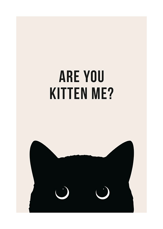 Are You Kitten Me? Plakát