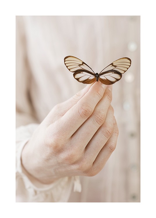 Butterfly Friend Plakát