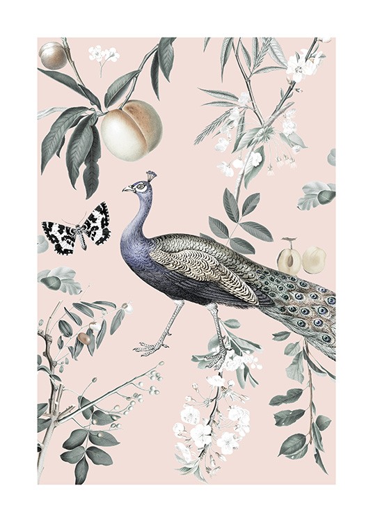 Vintage Peacock Plakát