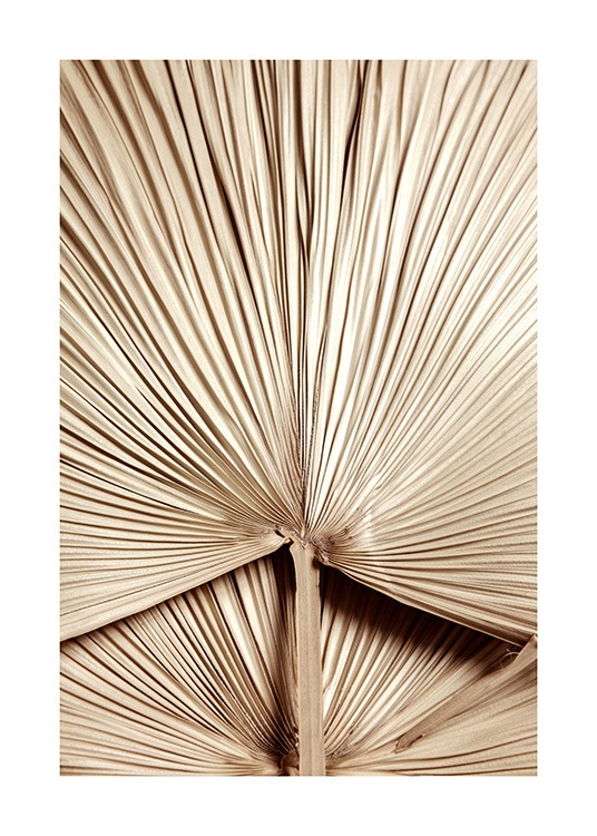 Golden Palm Leaf No2 Plakát
