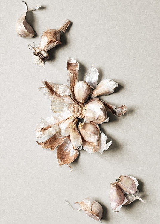 Garlic Cloves Plakát