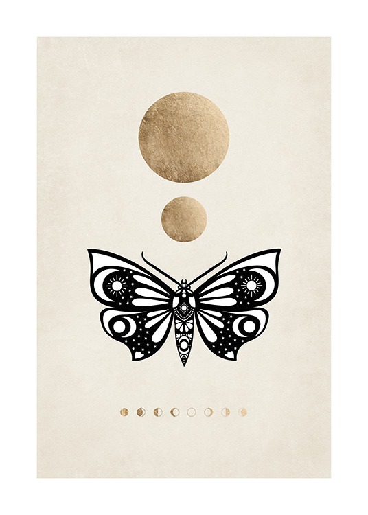 Moon Phases Moth Plakát