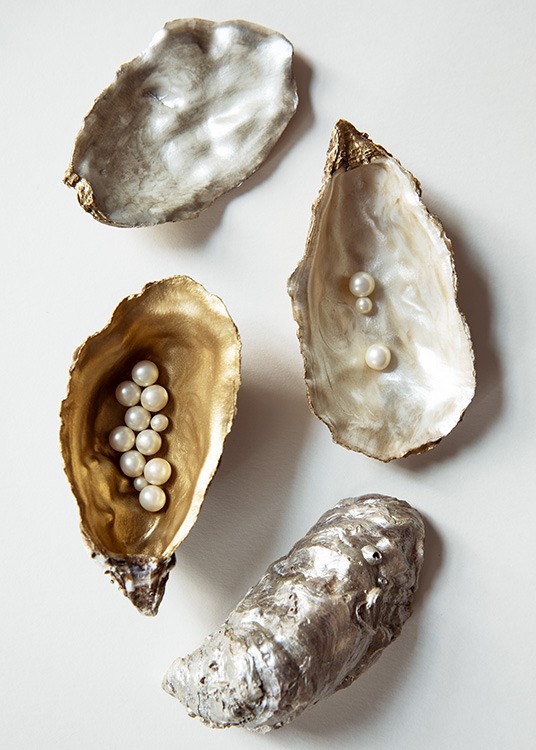 Oyster Shells No1 Plakát