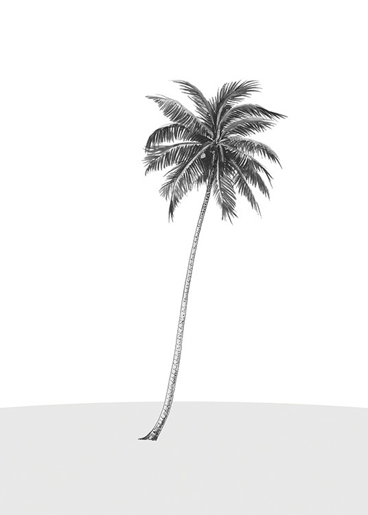 Lonely Palm Tree Plakát