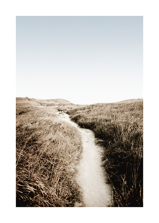 – Fotografie trávy lemující pískovou cestu s modrou oblohou na pozadí