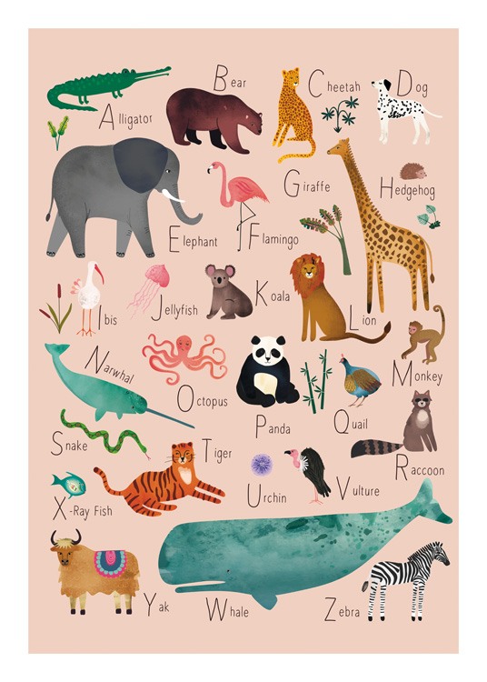 Alphabet Animals 1 Plakát