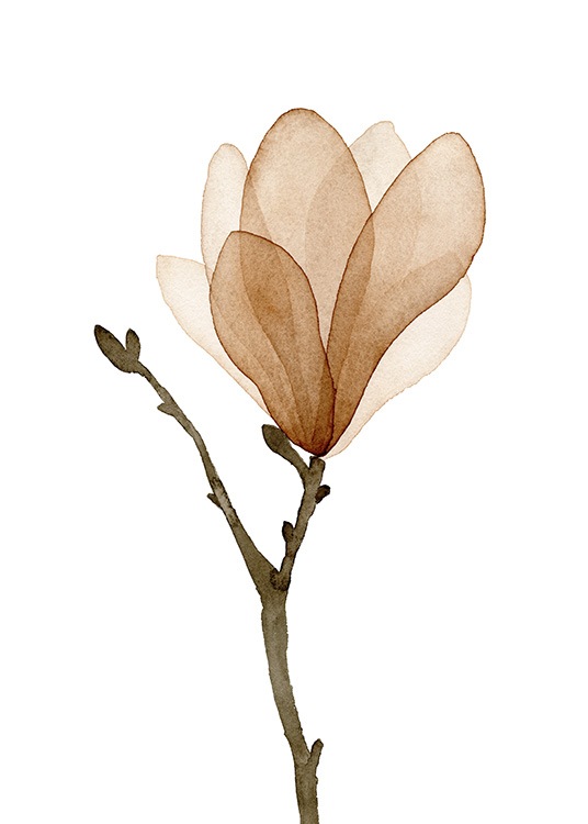 Watercolor Magnolia Plakát