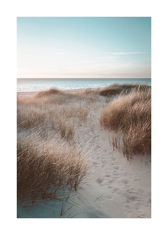  – Fotografie písečných dun porostlých trávou s oceánem v pozadí