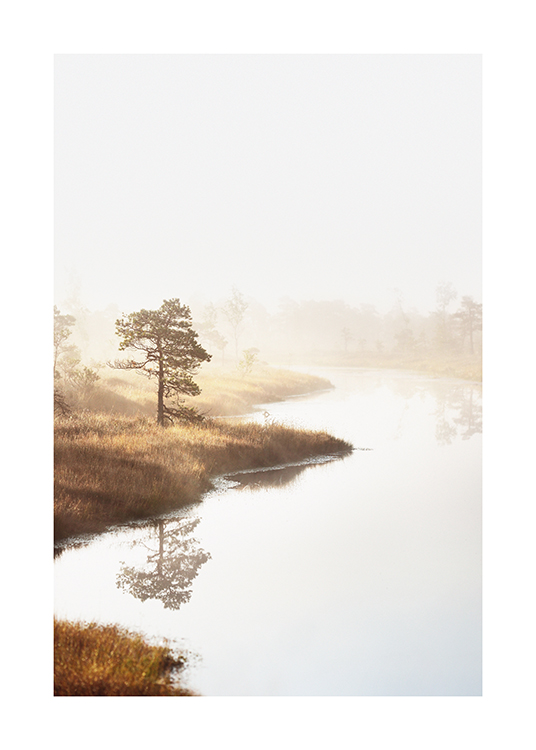  – Fotografie stromů a trávy u vody v krajině obestřené mlhou